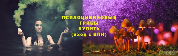 ПСИЛОЦИБИНОВЫЕ ГРИБЫ Алзамай