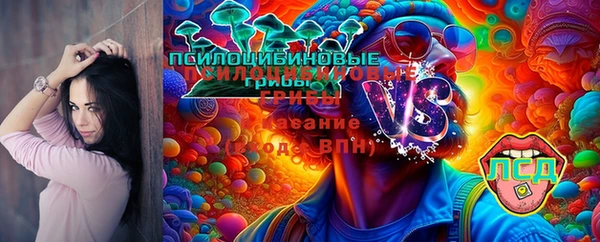 героин Алексин
