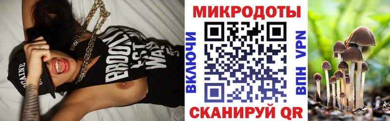 Псилоцибиновые грибы MAGIC MUSHROOMS купить закладку Миньяр